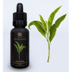 Camphor Essential Oil 10ml