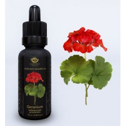 Geranium Essential Oil 10ml