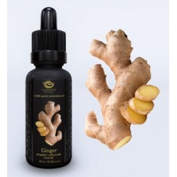 Ginger Essential Oil 10ml Ginger Essential Oil 10ml